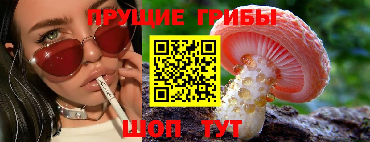 Галлюциногенные грибы Psilocybe Курганинск